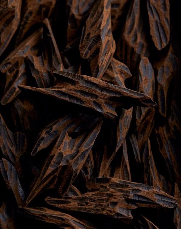 Madera Oud