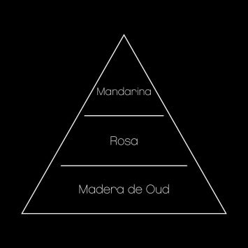 BLACK OUD